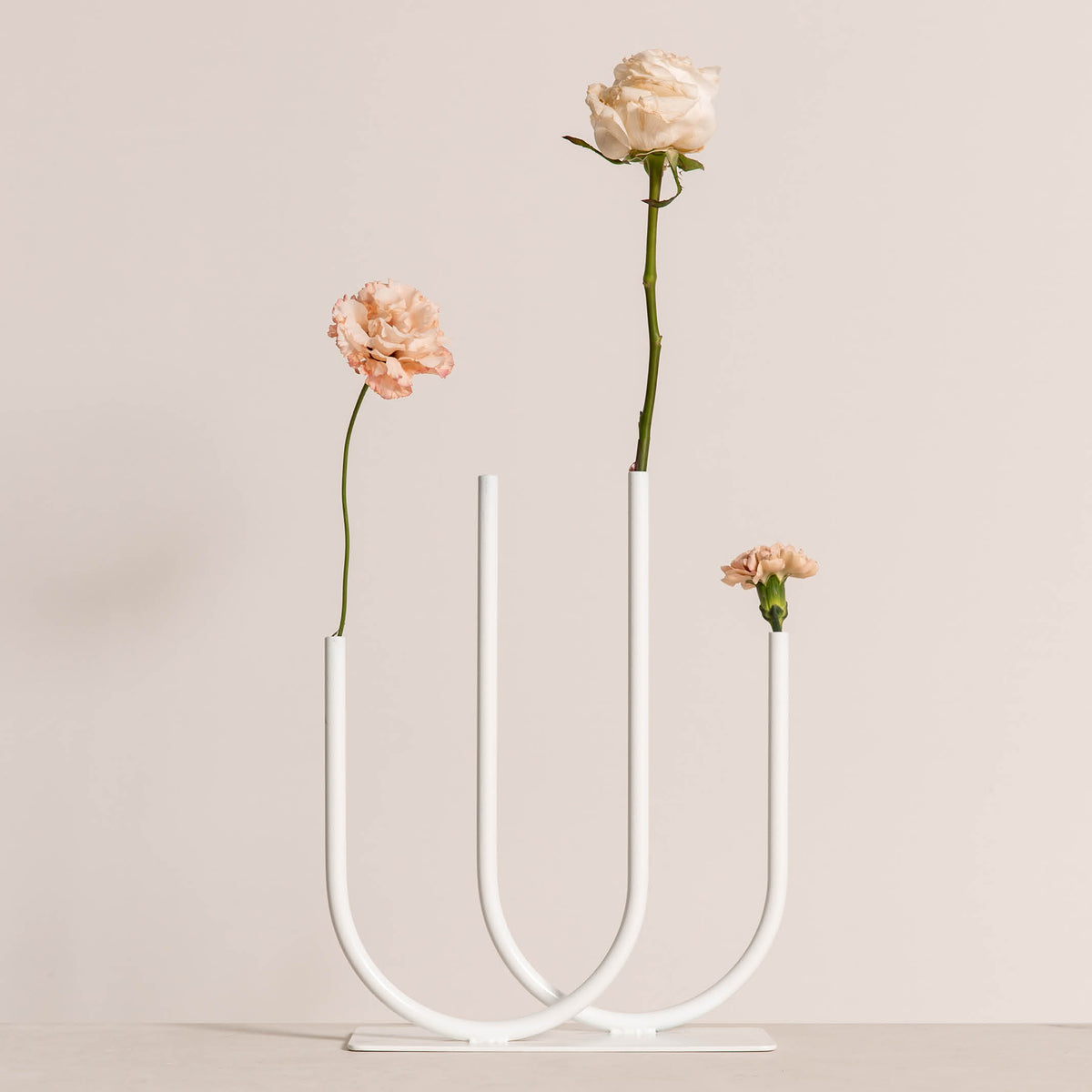 Holly Single Stem Vase in White House of Harvey Co.